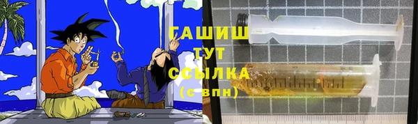 хмурый Аркадак