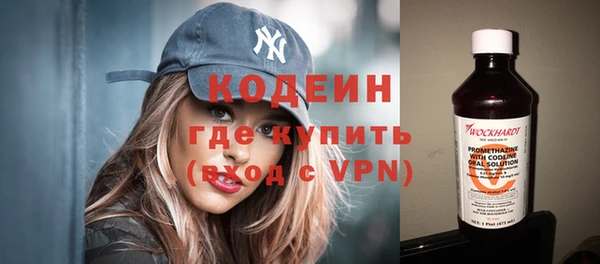 хмурый Аркадак