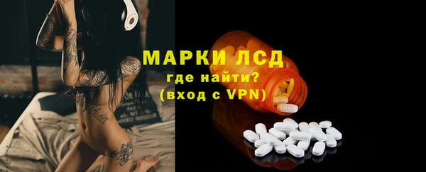 хмурый Аркадак