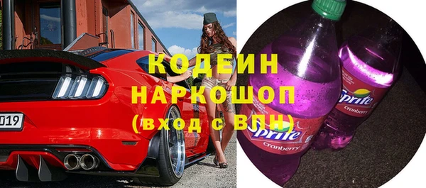хмурый Аркадак