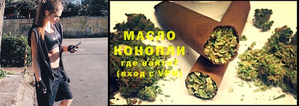 хмурый Аркадак
