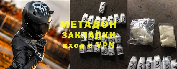 хмурый Аркадак