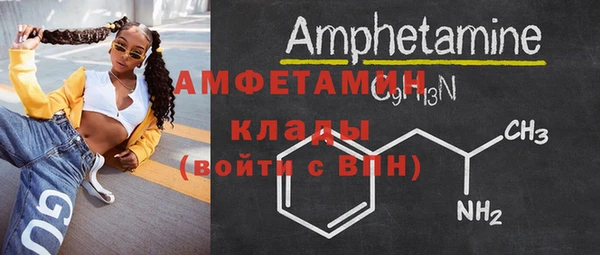 хмурый Аркадак