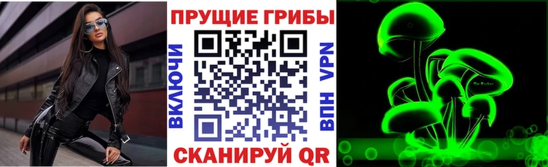 что такое   Рославль  Галлюциногенные грибы прущие грибы 